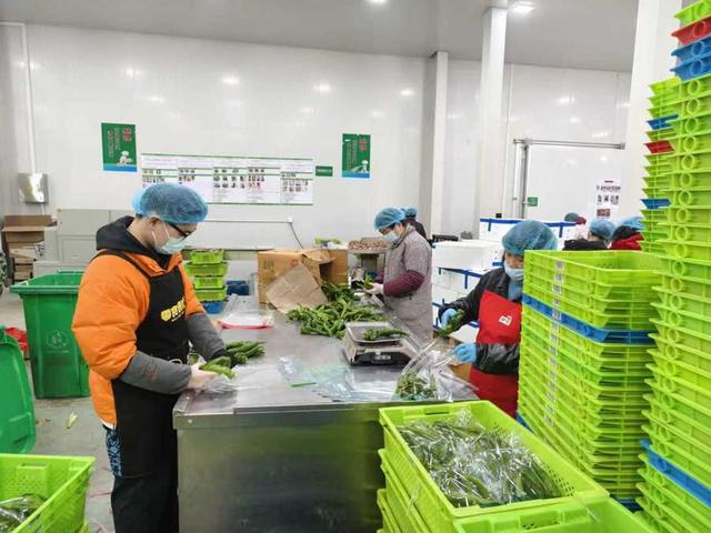 年味渐浓, 这里的果蔬开启“春运”模式