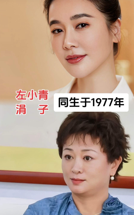 这些明星竟然都是同岁的，年龄一样大，然而有的根本看不出来，因为他们都得路线不一样