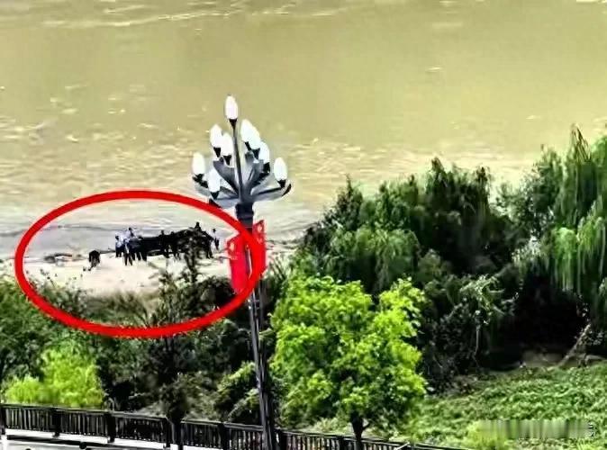 10月21日报道，新郎29岁在婚礼当天跳桥，七天后打捞上来，西装领带泡得发白，让