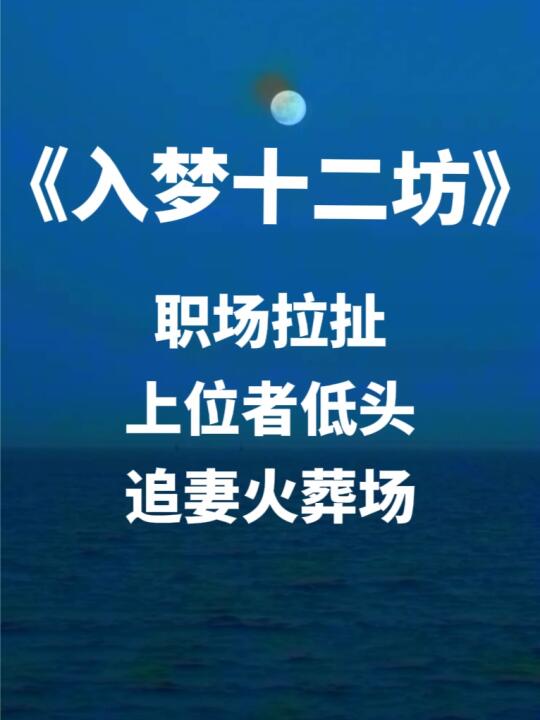 拼命三娘vs集团副总💗智性恋谁懂啊啊啊啊