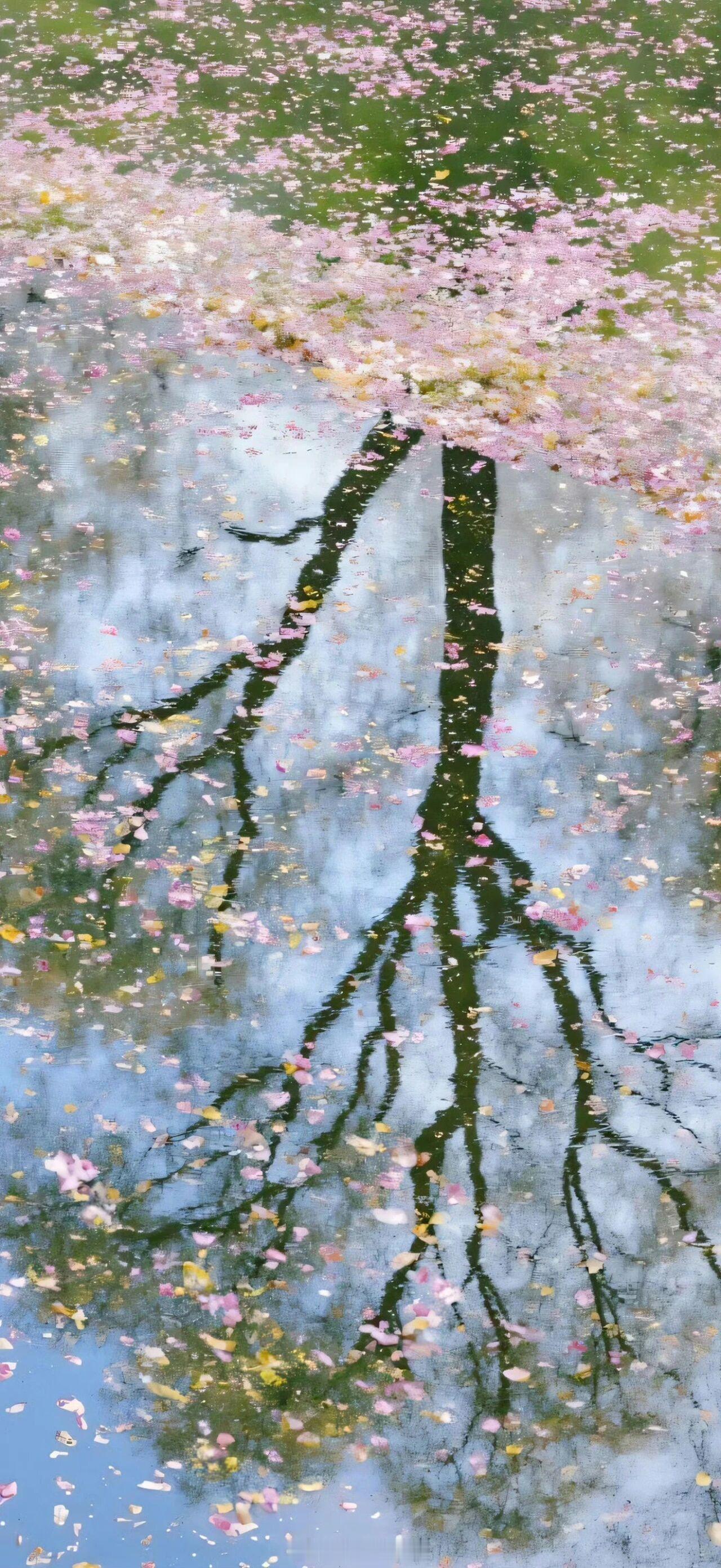 爱是明知故犯，痛中执迷，冥顽不改。——明开夜合《野棠》晚安言情小说推荐