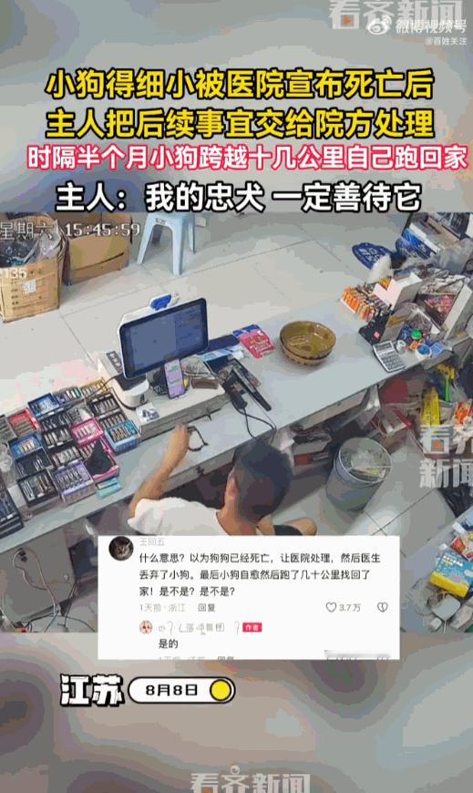 细思极恐！江苏宿迁，一位宠主这半个月过得像坐过山车。他花了大价钱送心爱的狗狗去治