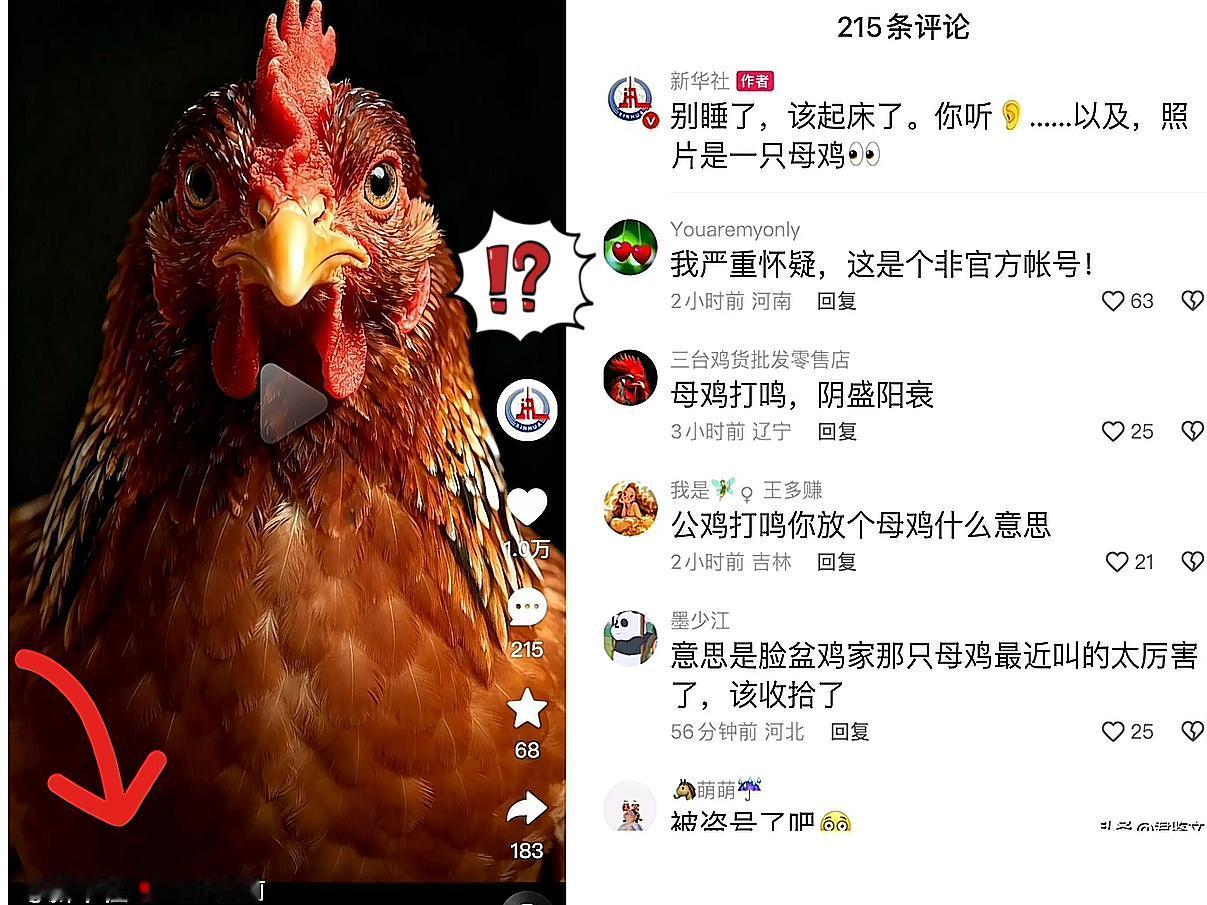 今天看到新华社在各大平台就一句——“发了一只鸡”，先是愣住了。没有多余铺垫，没