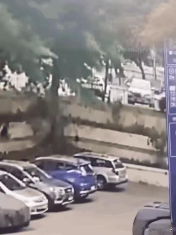 教练怎么没有教我[doge]