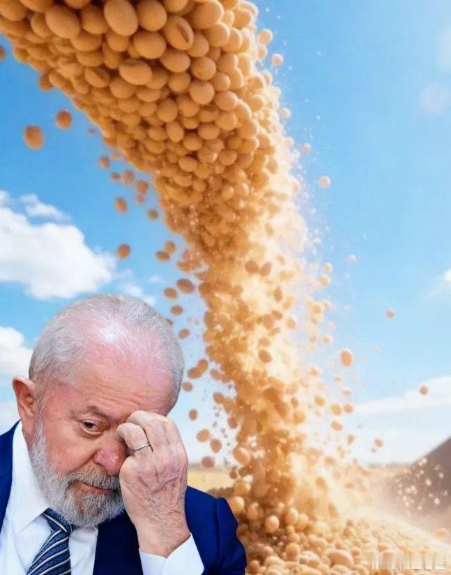 巴西大豆价格攀升至650美元/吨,这让巴西大豆商欣喜不已——他们笃定中国对大豆需