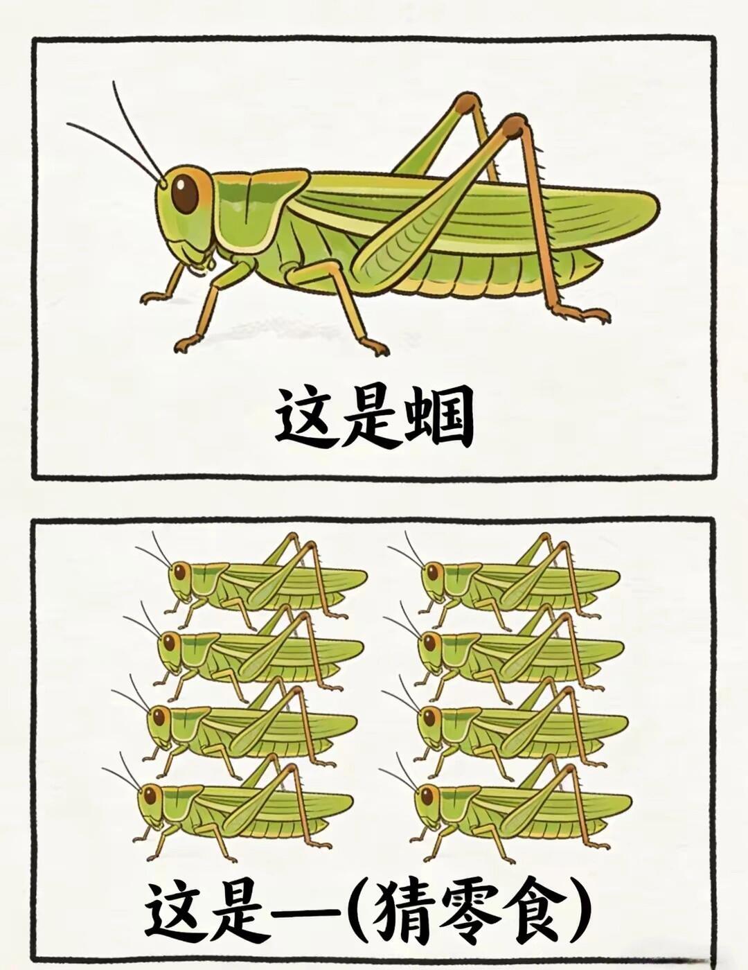 欢乐抽象谐音梗图来啦来歇歇脑子喽梗图有趣的发现此图有梗脑洞