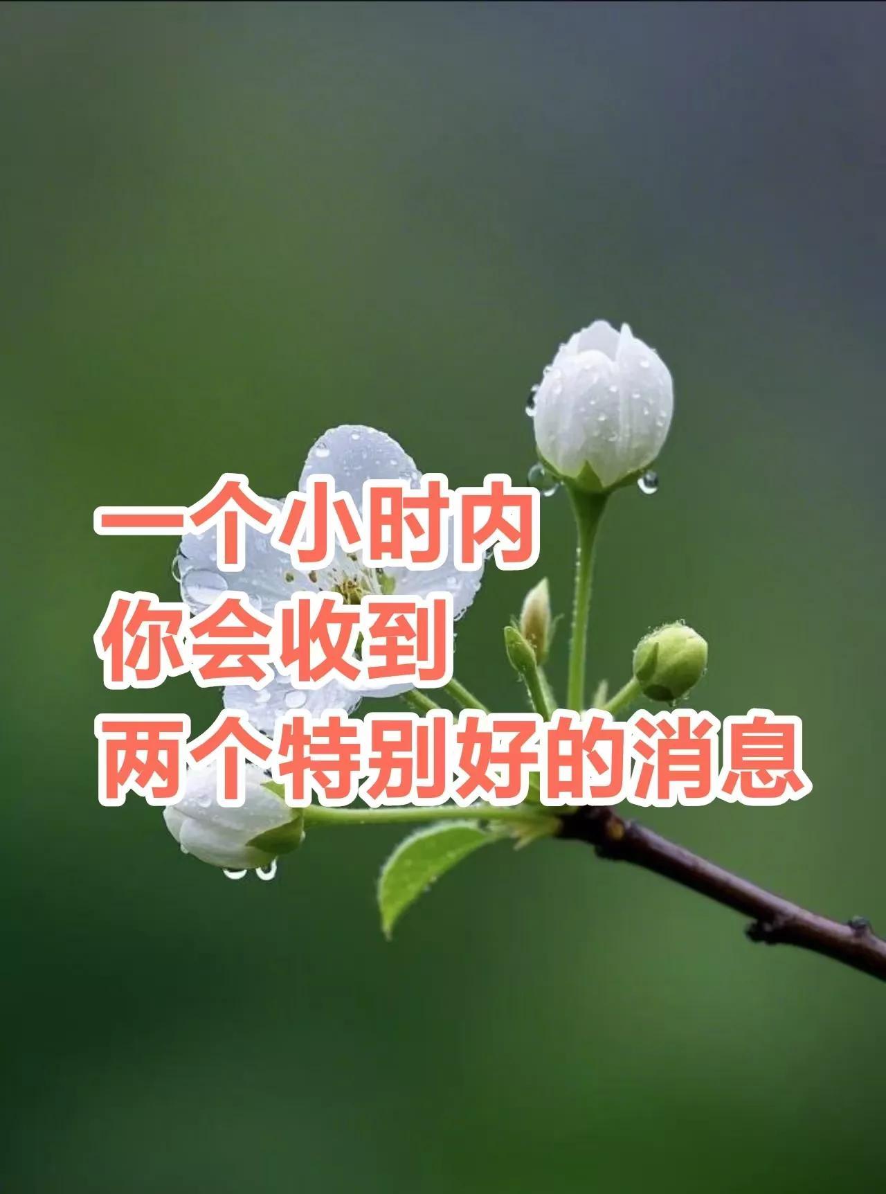 一个小时内你会收到两个特别好的消息，一个是财运亨通，财源滚滚，一个是事业步步