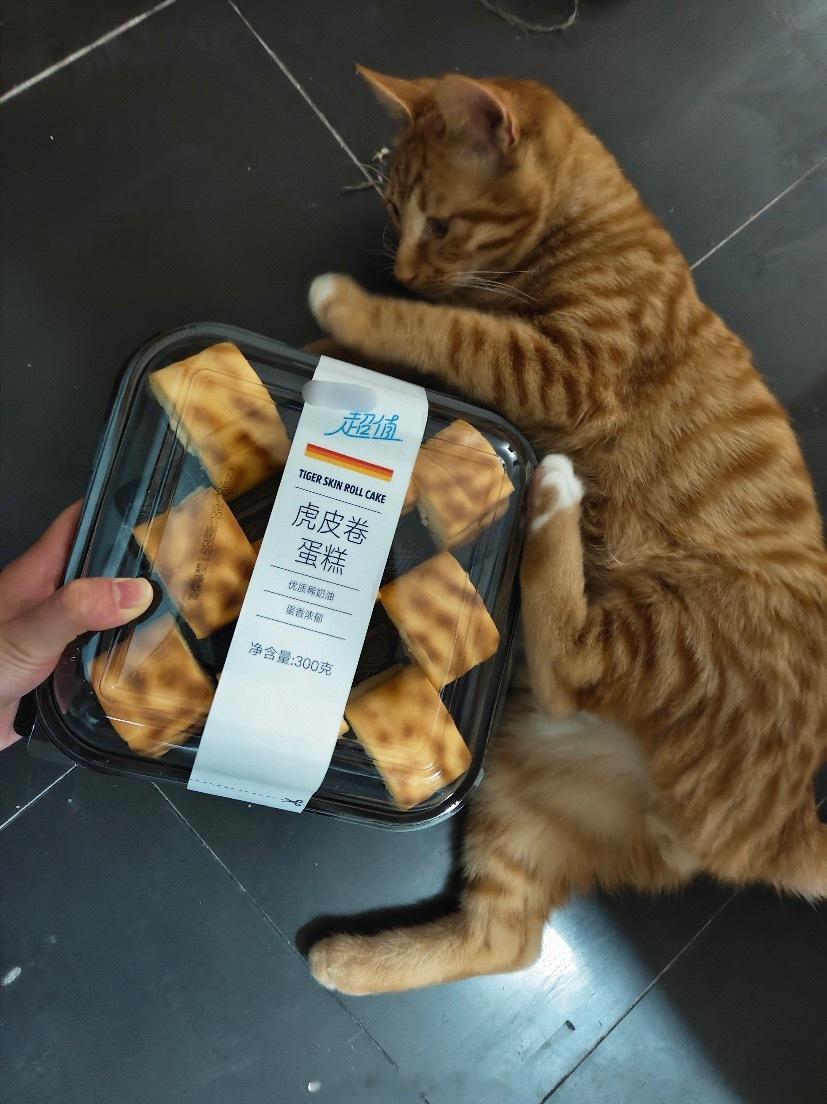 买到了猫咪同款蛋糕[doge]遇见春天春日放个疯​​​