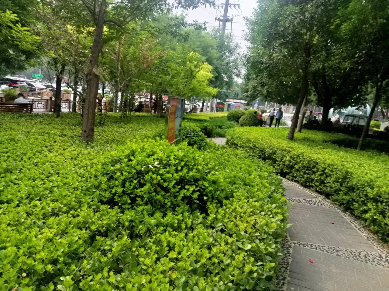 发现没有，有的人天生就是命好，我家楼下女邻居，以前在农村，不会种地，家里也不收拾