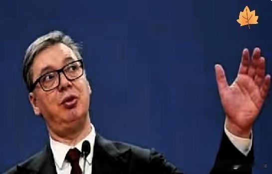 塞尔维亚这回是真的要玩大的了！武契奇总统在电视上透了底，下个月，咱们这边帮着