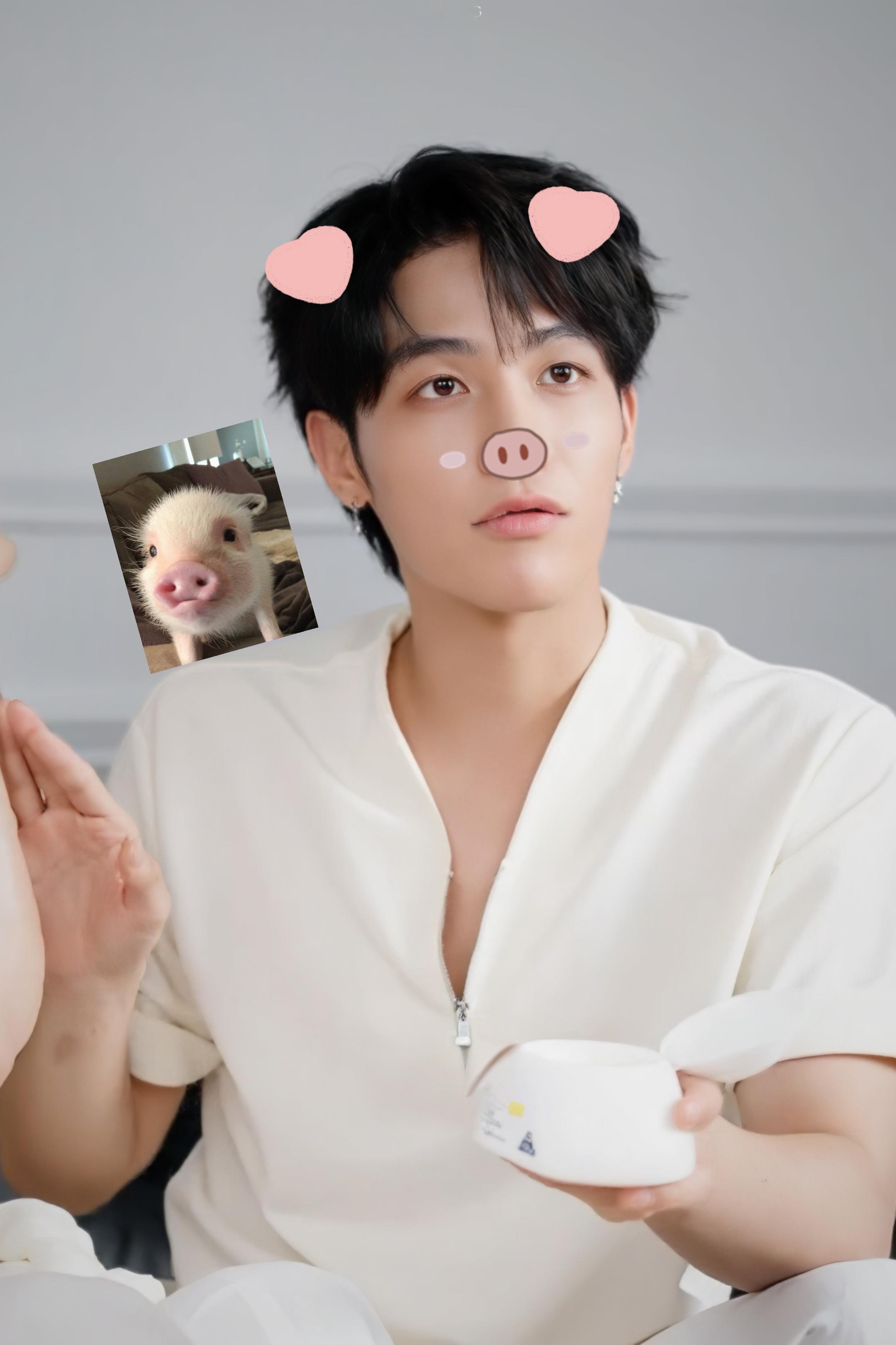 小狗还是小猪呢🐶🐷​​​