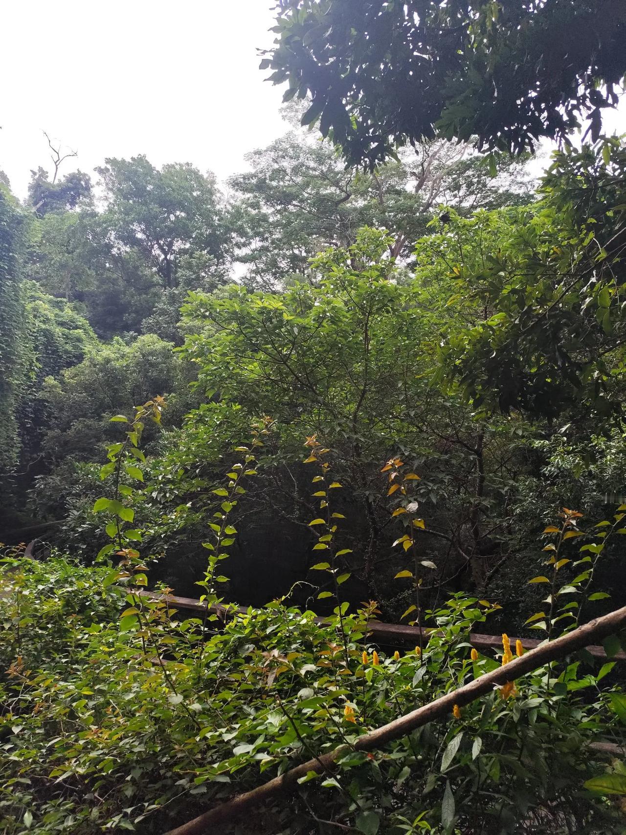 我父亲当年高血压，一个老中医说少量饮酒可以软化血管，对身体有益。但我嫂子是西医