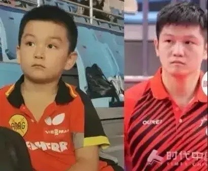 萌翻！“肥仔东”竟是乒乓天才！樊振东童年名场面太好嗑谁能想到如今叱咤乒坛的“小胖