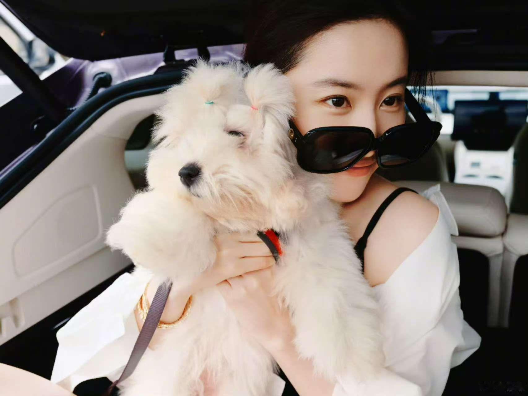 刘亦菲国庆自驾游哇哦“神仙姐姐”在这个假期也出去玩了，关键还是和智界R7一起去