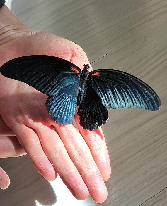 遇到个事儿，不吐不快。去年年底，我参加一个亲戚女儿的婚礼，看到她红光满面，