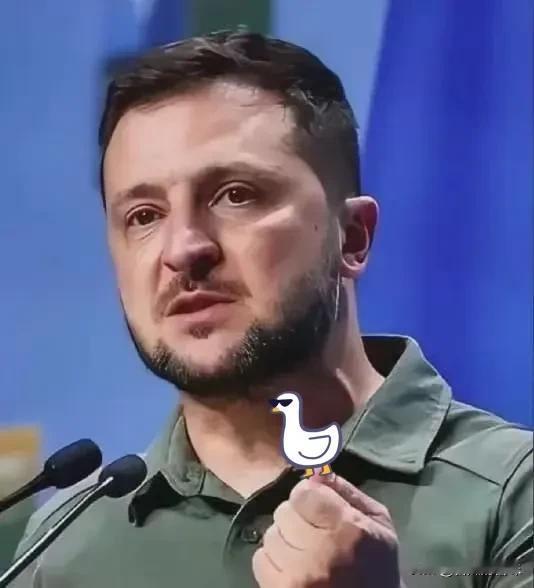 北约梦碎！泽连斯基寒心：乌克兰四年血战，竟为美国霸权买单？