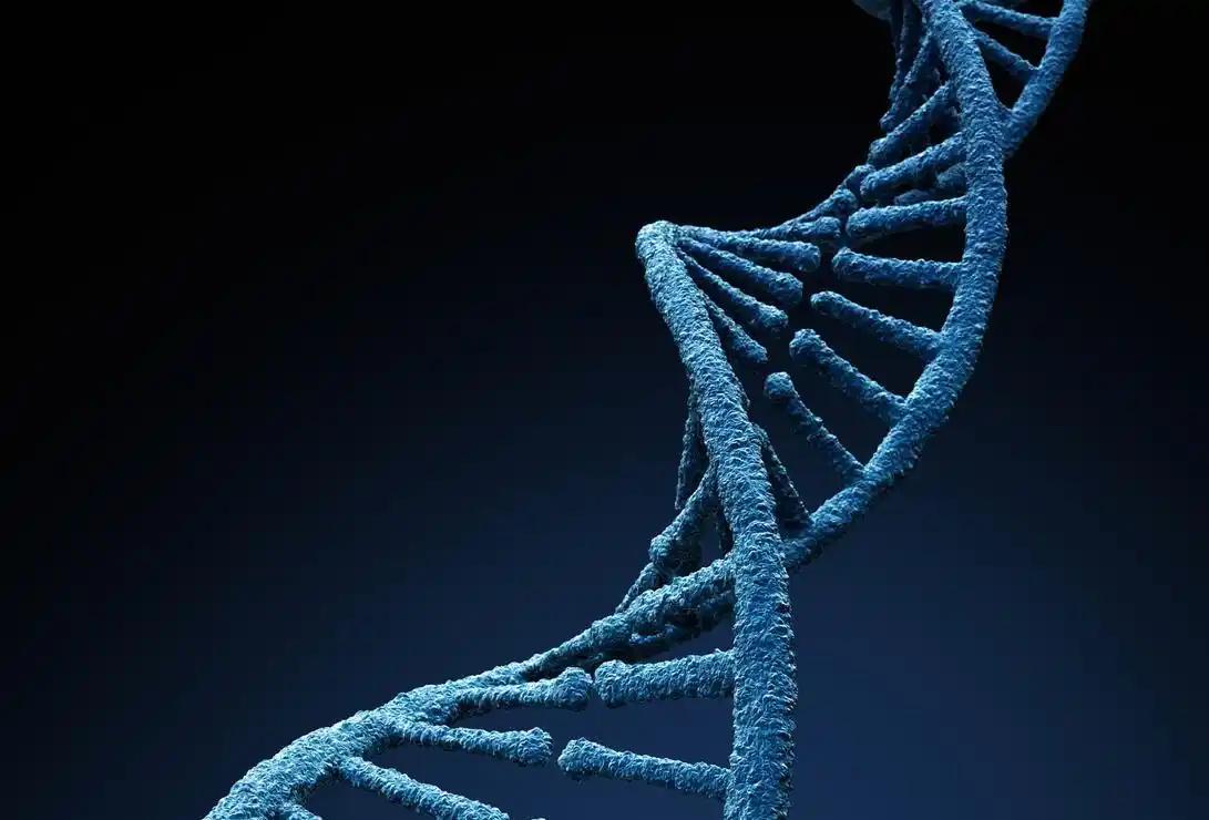 近期爱尔兰梅努斯大学团队研发出新型DNA分子计算机，靠DNA分子之间的相