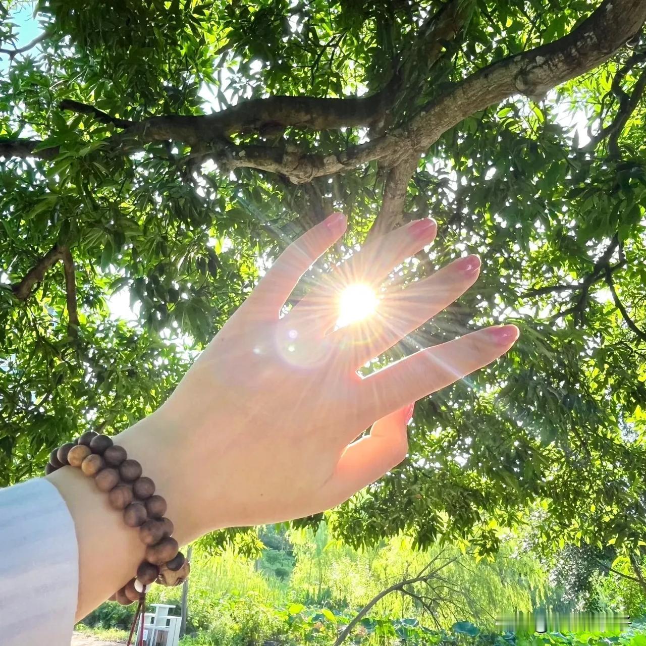 4月1日起光伏电池出口退税取消！这4个板块要受益。重磅政策来了！4月1日起