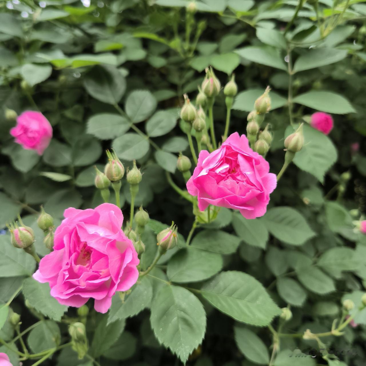 我看起来那么不值得信任吗昨天天气不错，上午十点多，我戴上帽子口罩和眼镜，背上