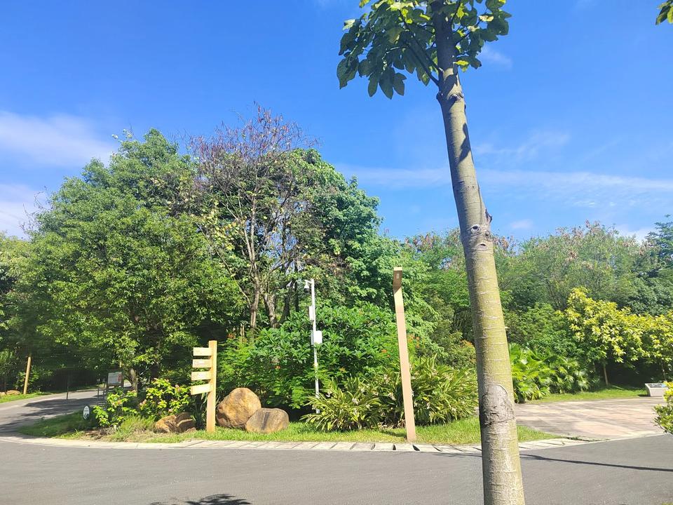 高考过后，第1件事情是干什么去，有了考生还未能放松心情去玩耍，因为还没有出分数之