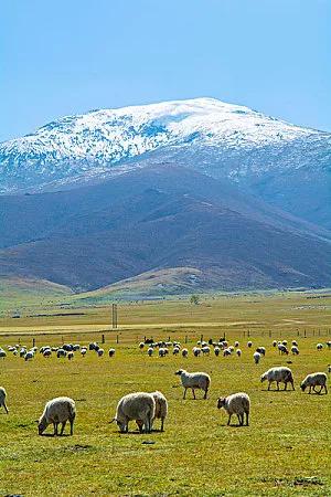 年少轻狂不识愁，懂事方惊已中年那些年，我们以为青春是挥霍不尽的资本，是永不