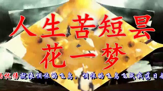 人生苦短昙花一梦简谱_适合昙花一梦汉服发型