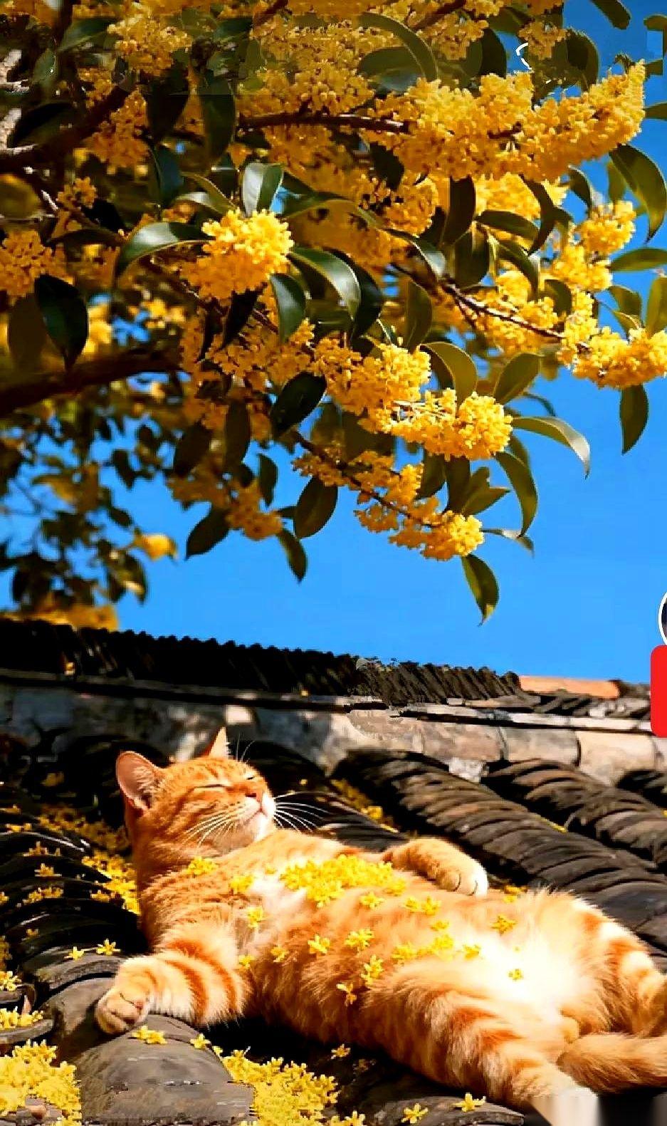 一个叫“抗癌三人组”的微信名，生生把绝症在自己家里“扩招”了——没出两年，生病的