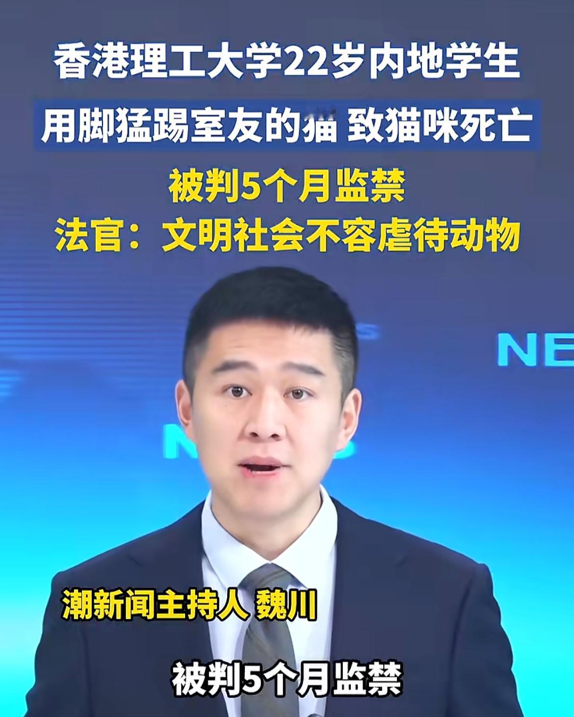 好家伙！内地学生在香港虐猫被判刑！看到一个新闻，一个内地学生因为踢死一只猫咪