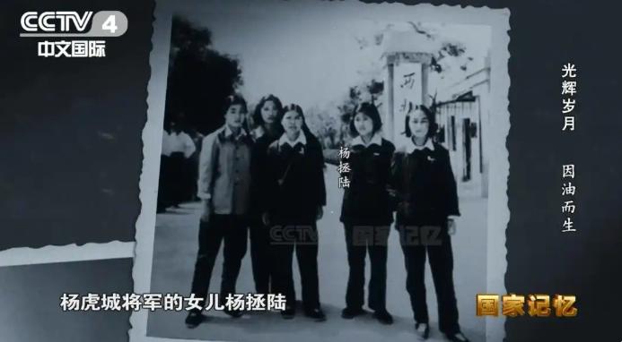 1958年，杨虎城将军的女儿杨拯陆在筹备婚礼期间离奇失踪，几天后，她的尸体出现在