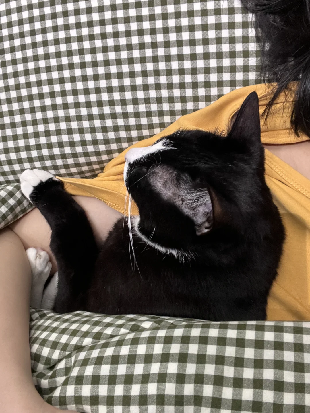 从早到晚就是going