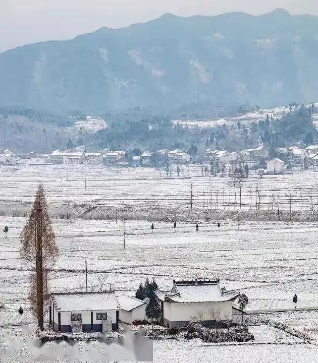 同办公室的老周最近这段时间神情恍惚，看上去有些失魂落魄。他父亲前两个月去世了，