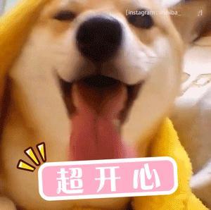 诗卓卓【不要惹不正常的小狗】遇到眼神不对、行为反常的小狗，千万别去逗弄或挑衅，