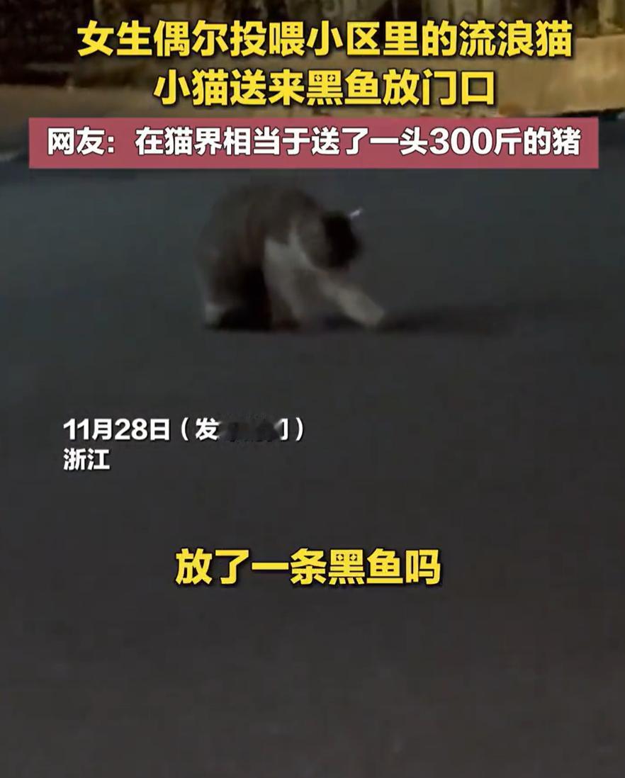 “太有灵性了！”浙江，女子晚上回家时，突然发现门口有一个东西在动，女子第一反应是