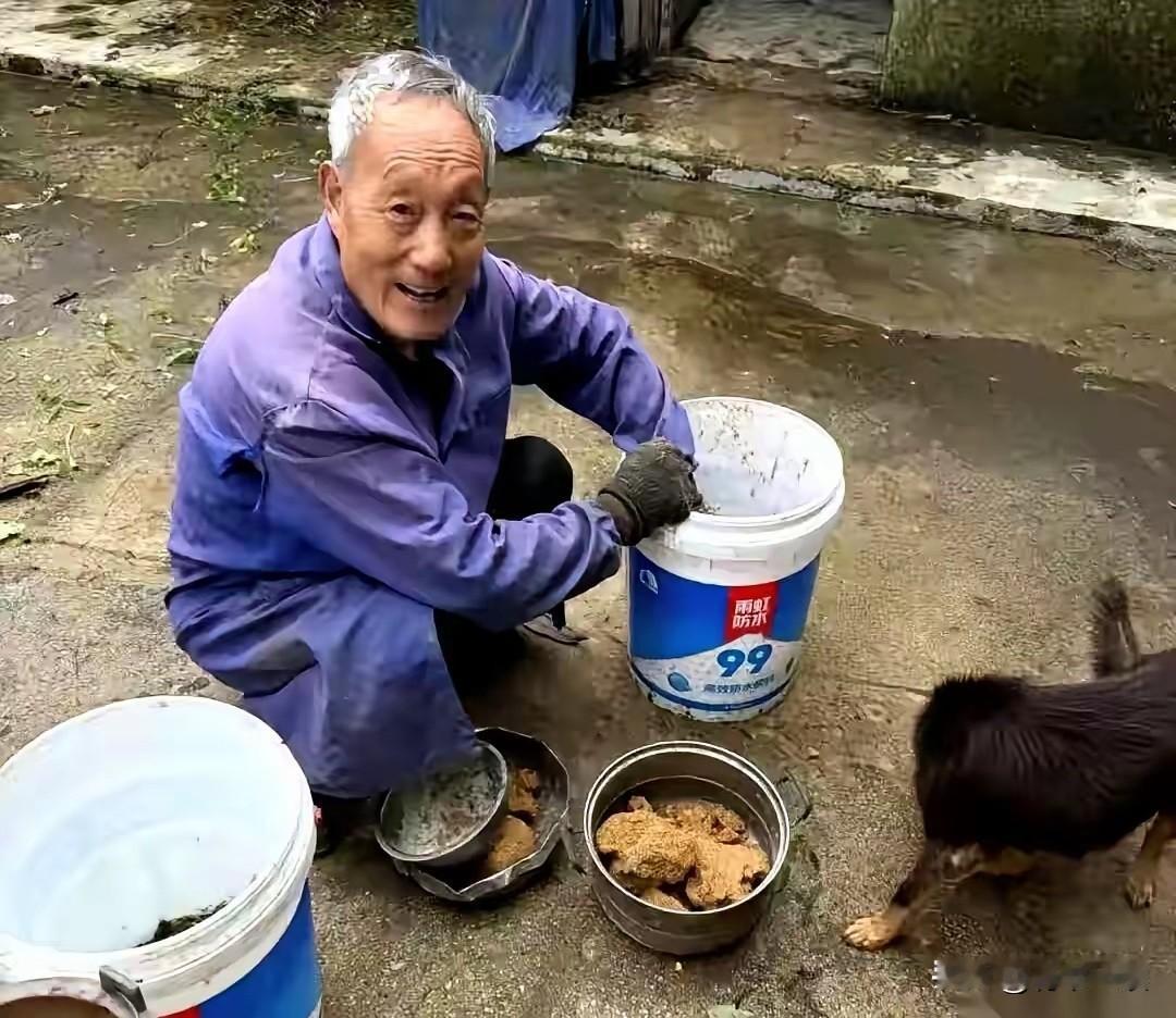 史上最寒酸的动物园突然走红。谁能想到，贵州深山里一个连像样笼舍都没有的动物园，