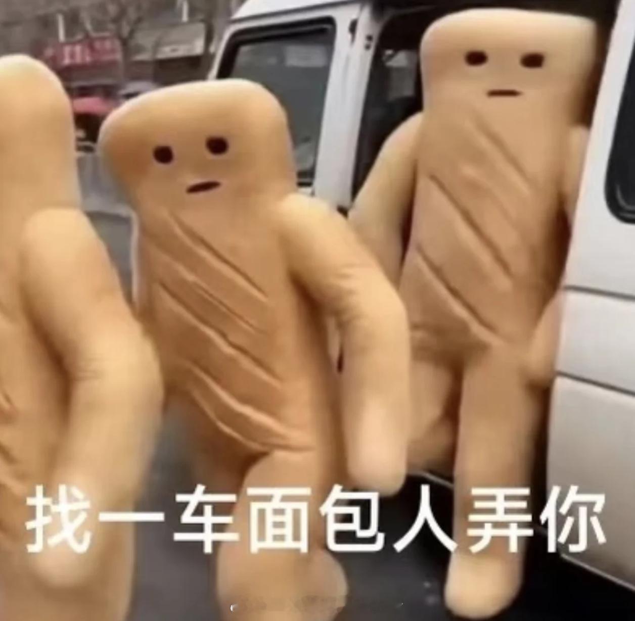 纯种大坏猫啊！！！！！！
