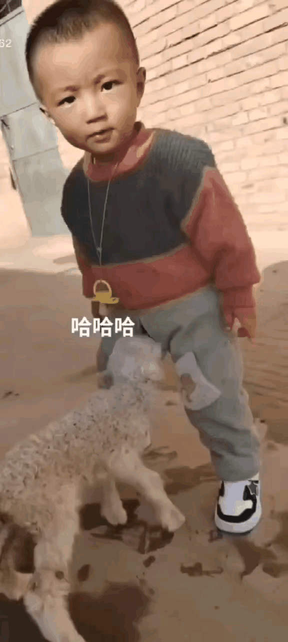 有点意思，不知道这小山羊吃饱了吗？[笑着哭][捂脸哭]