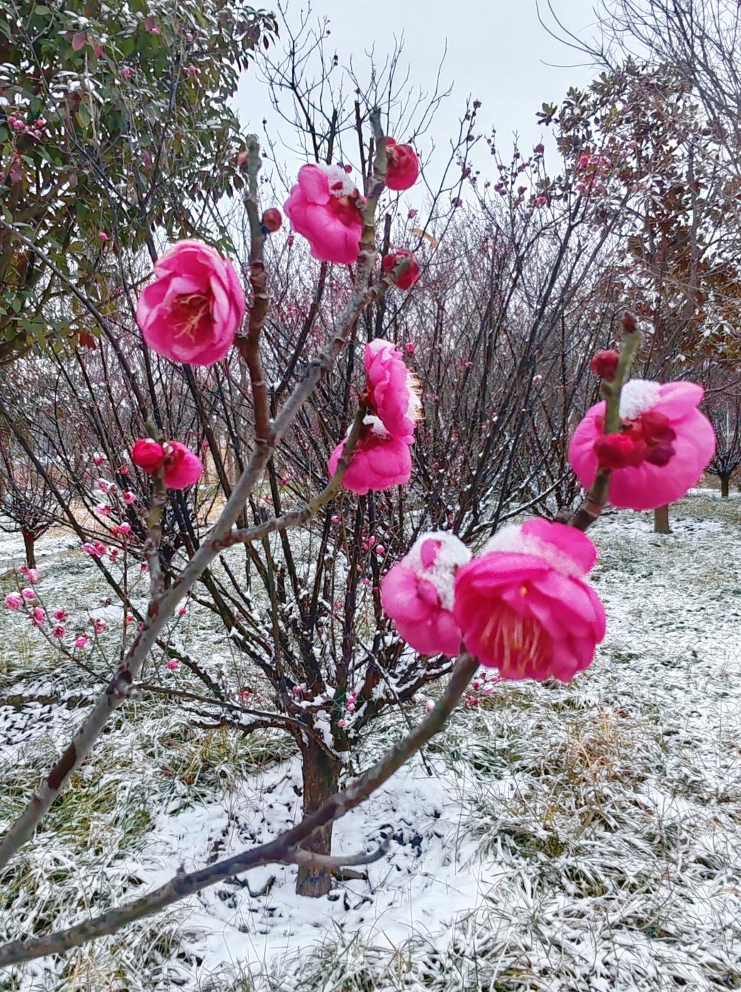 姐姐42岁因癌症离世，不过半年，姐夫就打电话跟我妈说，他要再婚，我妈只淡淡说家里