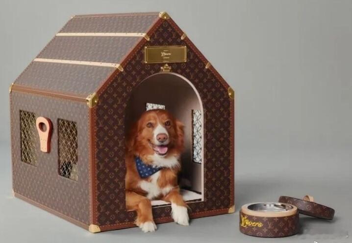价值50万元人民币的LV狗窝，还有13.8万元的狗食盆，2850元的狗丝巾，37
