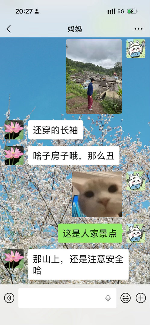 我妈妈的品味就这样。