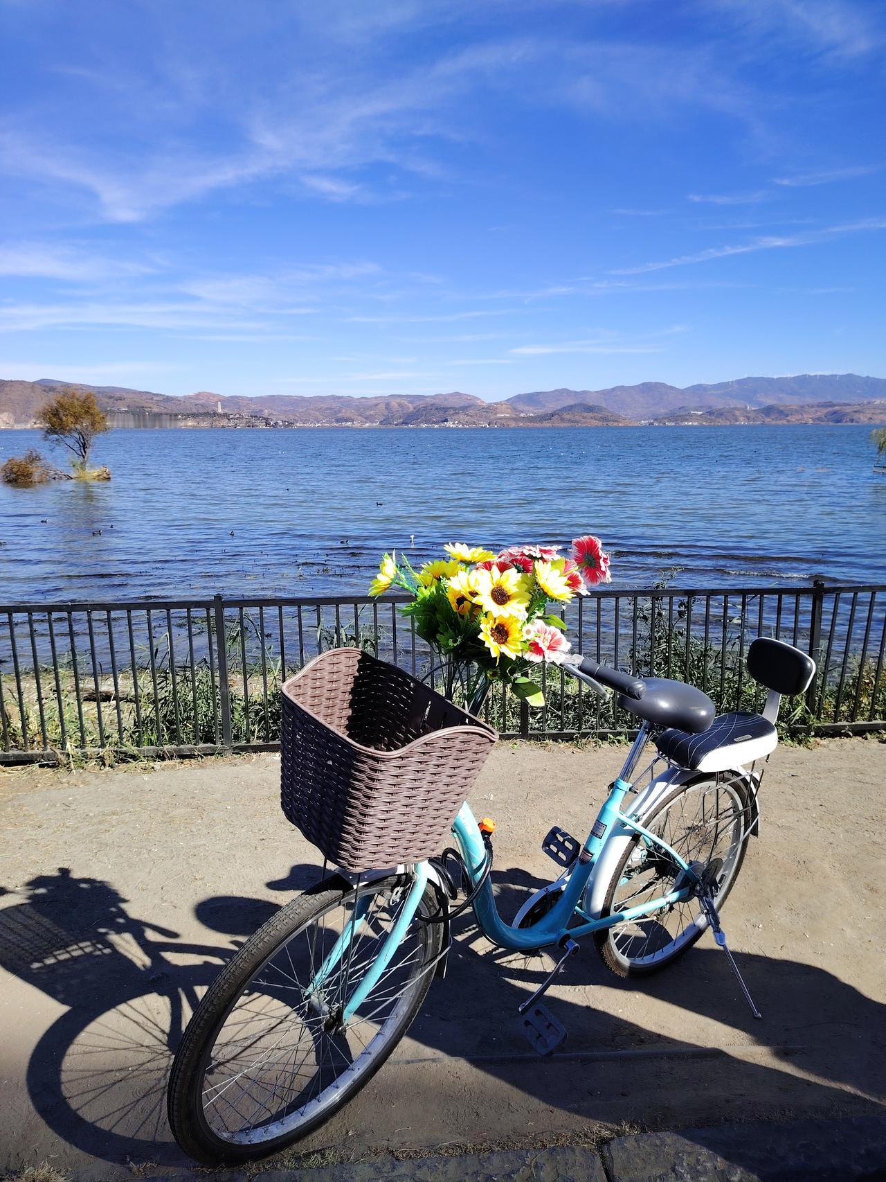 分享一张你认为最美的风景照云南大理，美丽的洱海边，连单车都是一道风景！