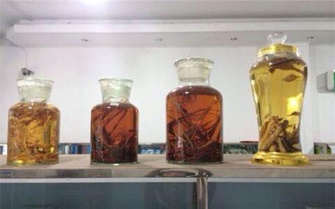 别再惦记淫羊藿了, 一旦用它泡酒喝, 男人变得更强壮, 谁喝谁知道