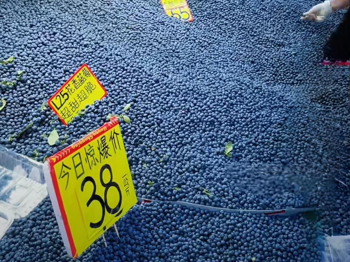 🔥震撼！云南蓝莓堆成山卖，全国网友看呆了。云南蓝莓迎来丰收狂潮，市场里一筐接一
