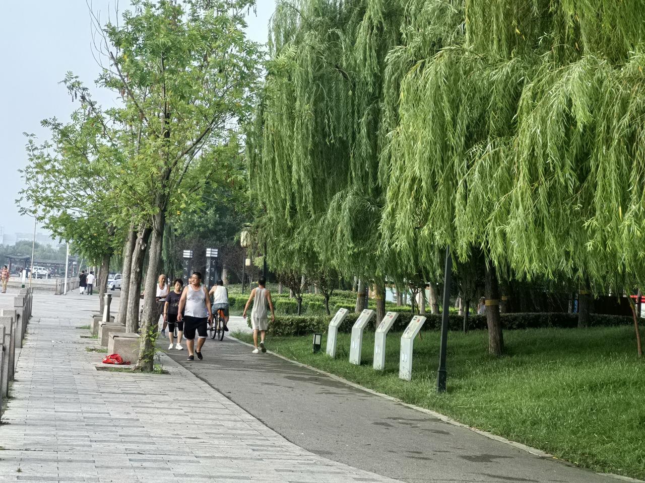 昨日傍晚下秋雨，今晨散步汗如洗。一场秋雨一场凉，那是过去难再享。气候变暖