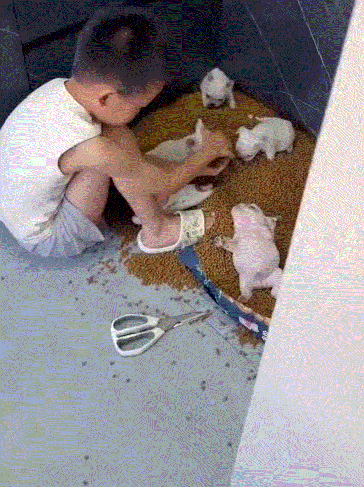 哭笑不得。一妈妈发视频分享，自己这天从外面回家，发现平日里在家活泼好动的儿子，今