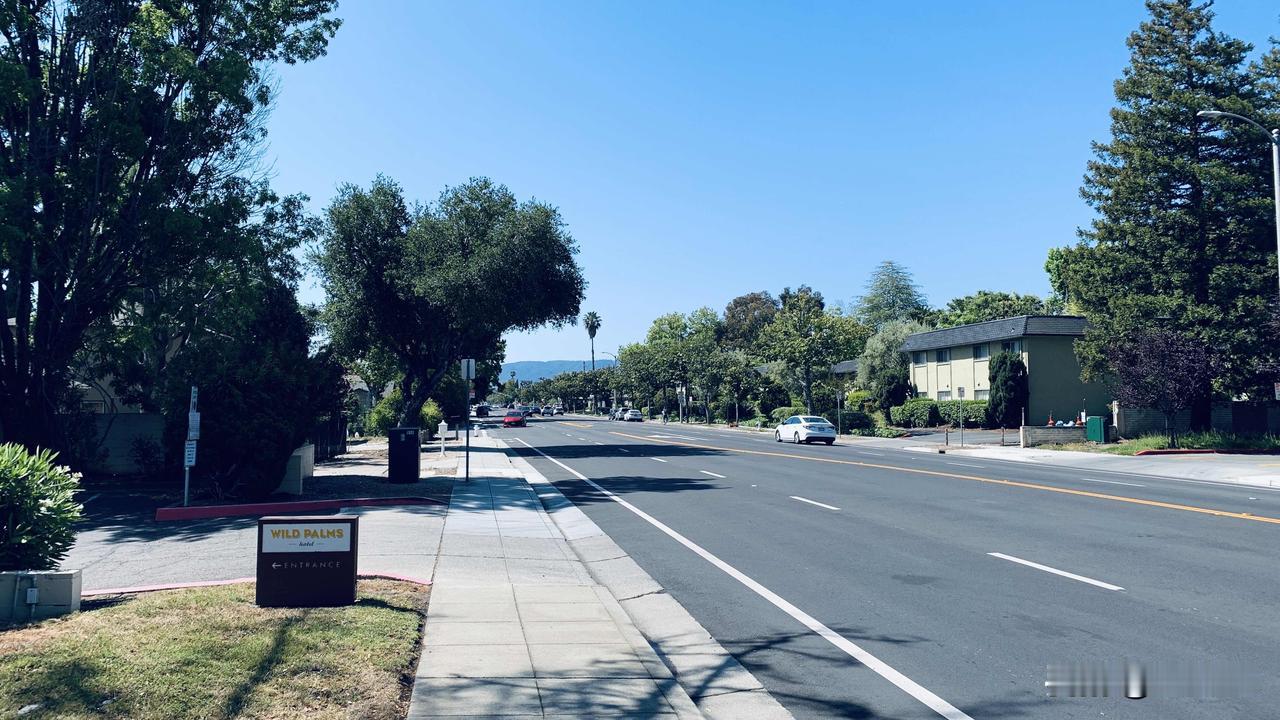 坐标加州湾区圣何塞。今天去上大街上溜达，这马路上干净得惊掉下巴！大马路上别说烟头