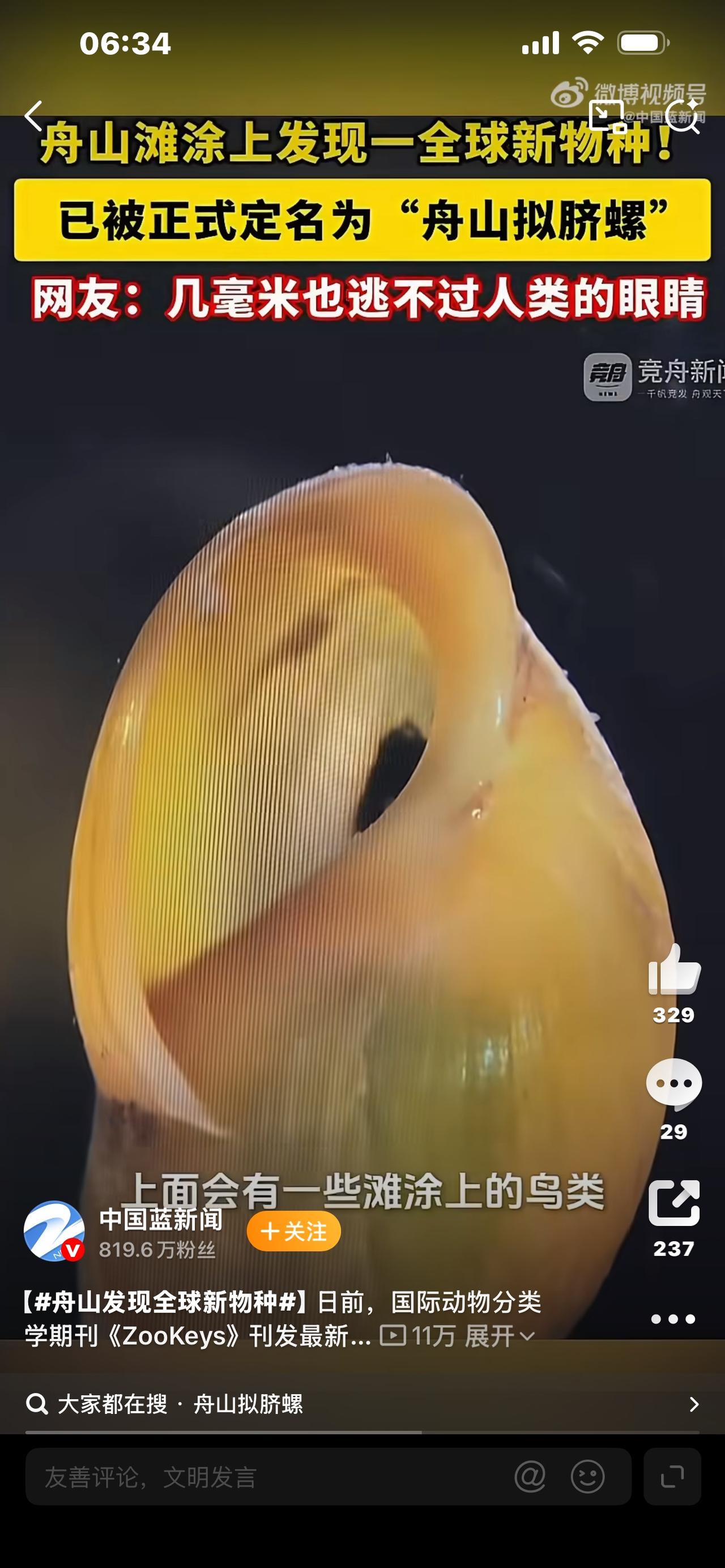 标题：舟山滩涂惊现全球独有物种，一颗绿豆大小，全世界仅此一处！你踩过的海边