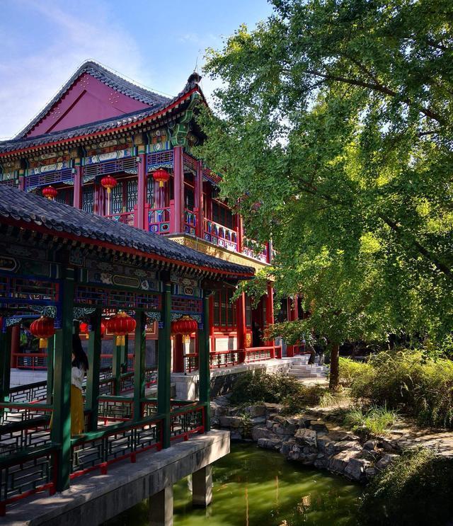 元春省亲那夜，轿帘掀开时她就死了——不是被弓弦勒断气的，而是被贾府上下三百口人，