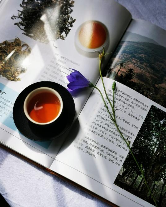 一位经济学家说：“一旦发生战争，银行存款大概就没了。历史表明，战争最先失灵的是金