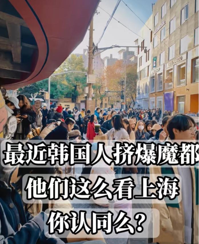 今年以来，上海正以更开放的姿态拥抱世界。前11个月，全市接待入境游客达82