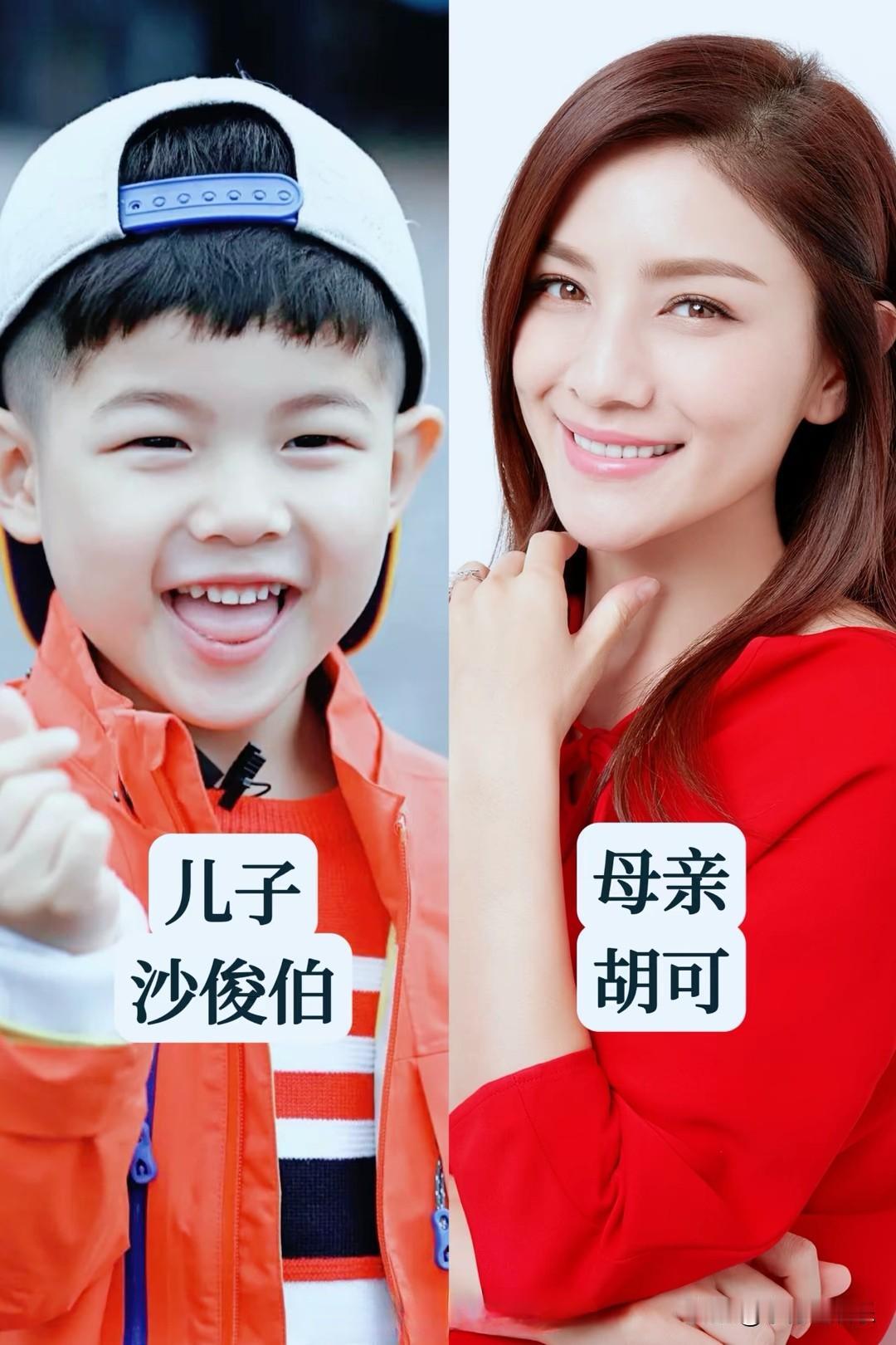 13对明星母子颜值比拼，除了叶一茜和儿子好像，董洁和儿子好像外，其他都和爸爸好像